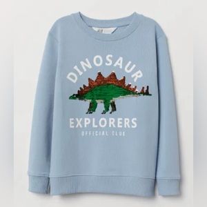 H&M Dinosaur Explorers Sweatshirt
